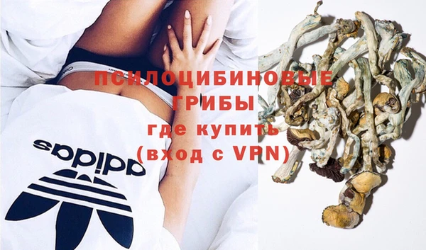 ешки Белокуриха