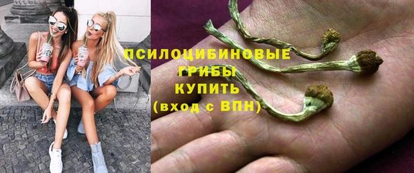 мяу мяу мука Богданович
