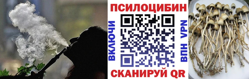 Псилоцибиновые грибы Cubensis  как найти закладки  Соль-Илецк 