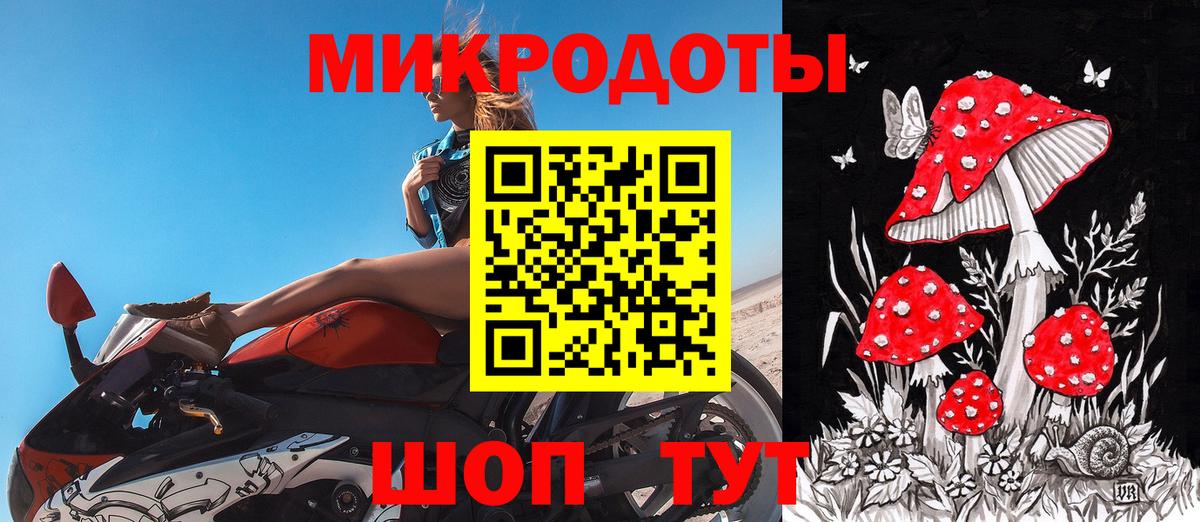 Галлюциногенные грибы Psilocybine cubensis  Вход с VPN  Соль-Илецк 